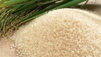 التموين: بدء موسم الأرز سبتمبر.. واحتياطي إستراتيجي حتى ديسمبر