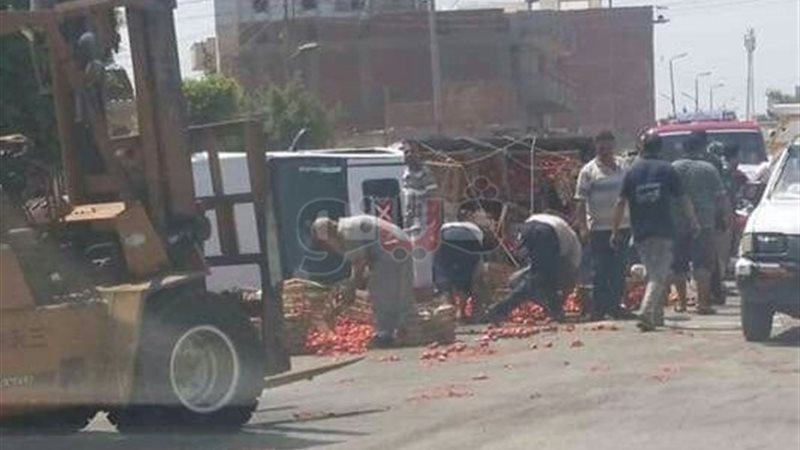 فيتو