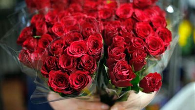 المرأة المصرية تتحدي الغربة ببهجة عيد الحب.. «إنجى»: احتفلنا يوم إجازتنا جدد حبنا.. و«سهيلة» تكتفى برسالة هاتفية لزوجها.. «هبة» تحتفل مع الأصدقاء بوليمة و«فاطمة»