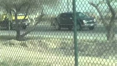 بالفيديو.. جمل يتسبب في حادث مروع بالكويت