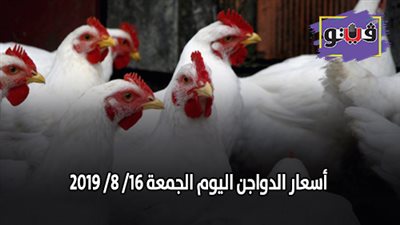 بورصة الدواجن العمومية.. أسعار الدواجن اليوم الجمعة 16/ 8/ 2019