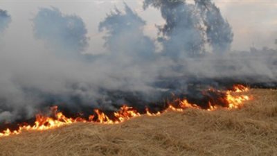 البيئة تستعرض خطط عمل الفروع لمواجهة نوبات تلوث الهواء الحادة