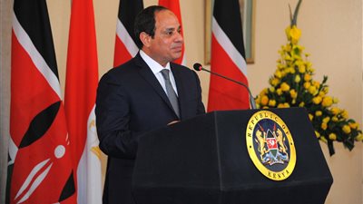 5 قرارات جمهورية و3 تكليفات رئاسية للحكومة في أسبوع