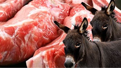 مصدر يكشف حقيقة العثور على بقايا حمير قبل تقديمها في مطاعم بالغردقة