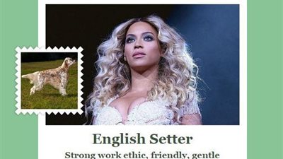 Fetch تطبيق غريب يبحث عن الكلب الذي يشبهك