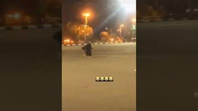 لحظة اعتداء شباب على بائعة بحديقة سعودية (فيديو)