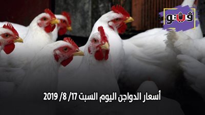 بورصة الدواجن الرئيسية.. أسعار الدواجن اليوم السبت 17/ 8/ 2019