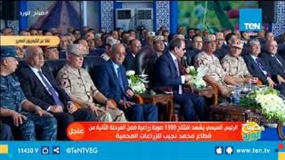 السيسي: نعمل على ضبط آليات السوق وزيادة المعروض