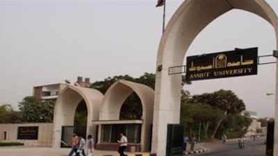 جامعة أسيوط تعلن عن تخصيص 3 منح دراسية بحثية لزراعة الكبد