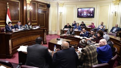 إعلام البرلمان تناقش تطوير ماسبيرو.. هيكل: وجود إعلام رسمي قوي أمر ضروري.. القعيد: إطفاء نور ماسبيرو قطع للسان مصر.. وزيرة التخطيط: ٣٢ مليار جنيه خسائر وخطة لتطوير ودمج القنوات