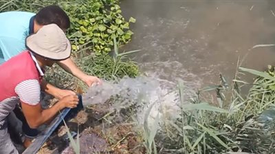 حملة المليون زريعة.. صدقة جارية لتوفير الأسماك لصيادي وأهالي البحيرة