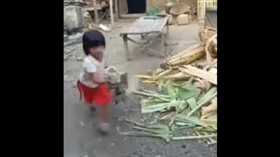 دجاجة تهاجم طفلة بشراسة (فيديو)