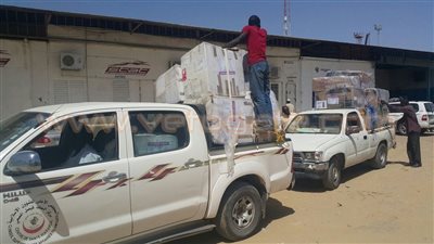 قافلة الأزهر الإغاثية تصل تشاد