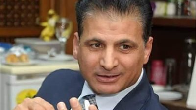 العبيدي: زيادة نسبة مساهمة المصريين في تدفق رءوس الأموال للدولة