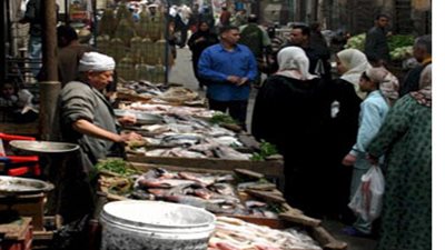 تباين أسعار الأسماك بسوق العبور اليوم