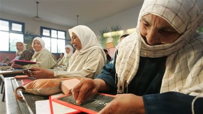 أستاذ علم اجتماع: الجهود المبذولة لمحو الأمية فردية لا قيمة لها