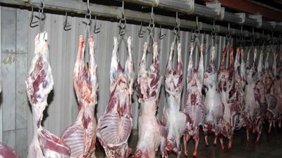 محافظ الفيوم يكلف بإنشاء مجزر آلي جديد