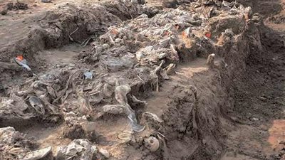 العثور على مقبرة تضم رفات أكثر من 100 شخص قتلهم داعش بدير الزور