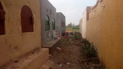 المقابر تزحف على الأراضي الزراعية بالشرقية.. والرقابة غائبة