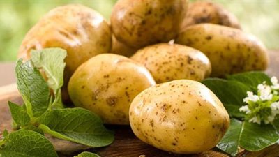 أسباب انهيار أسعار البطاطس في الأسواق