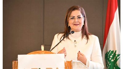 وزارة التخطيط: 389 مشروعًا تنمويا بالدقهلية