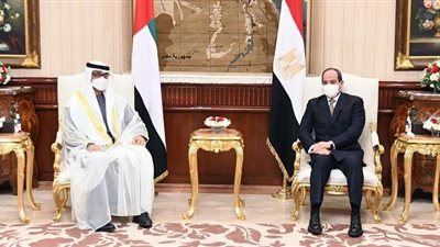 رسائل السيسي لقادة الإمارات وفرنسا والعراق وموريتانيا تتصدر نشاط الرئاسة الخارجي | فيديو