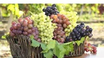 تفسير حلم العنب في المنام وعلاقته بالتغلب على المشاكل والشفاء من الأمراض