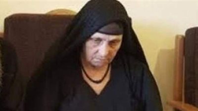 وماذا بعد براءة المتهمين بتعرية سيدة الكرم في المنيا؟.. قانوني يجيب