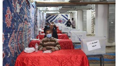 المحامون يصوتون على إنشاء نقابة واحدة للقاهرة.. الأمين العام: ملتزمون بالإجراءات الاحترازية