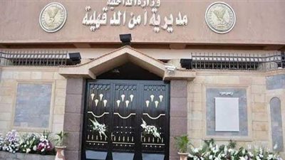 بسبب خلافات الجيرة.. إصابة 6 أشخاص في مشاجرة بين عائلتين بالدقهلية