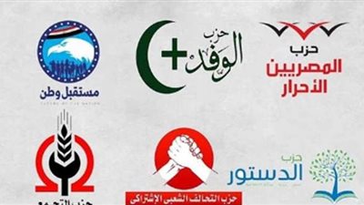 انتفاضة حزبية ضد تقرير البرلمان الأوربى عن مصر