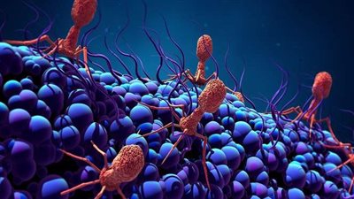 بعد بريطانيا.. الصحة العالمية تعلن تفشي سلالة كورونا الجديدة في 3 دول