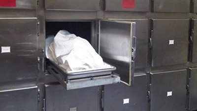 مصرع مواطن انهار منزله في ميت غمر