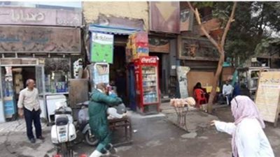 إزالة ٣ أكشاك مخالفة.. وتطهير مقاهي ومحال بالجيزة | صور