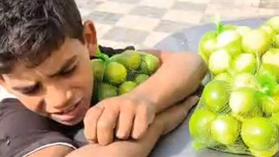 القبض على جدة 