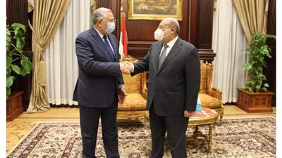 وزير الزراعة من مجلس الشيوخ: مصر الأولى في تصدير الموالح والفراولة