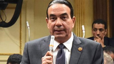 نائب: معارضة برلمان 2020 مستنيرة.. والقائمة الوطنية نموذج في التعددية