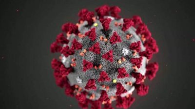 مفاجأة.. الإصابة بكورونا دون الشعور بها تعطي الجسم مناعة ضد الفيروس