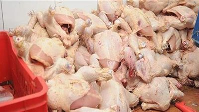مصادرة 5 أطنان دواجن فاسدة داخل مجزر بالجيزة