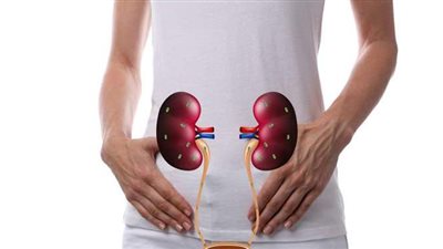 أعراض التهاب المسالك البولية وطرق العلاج من الطبيعة