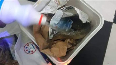 تحرير 3 محاضر ضبط لأغذية ومشروبات فاسدة بدهب