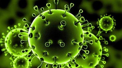 هاشتاج السلالة الجديدة يتصدر تويتر.. ومغردون: 