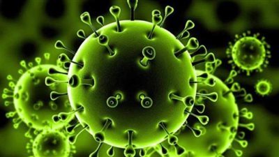 العليا للفيروسات تكشف موعد ذروة إصابات كورونا في الموجة الثانية