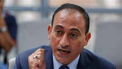 نائب: اقتصار الدعم على طفلين يساهم في مواجهة الزيادة السكانية