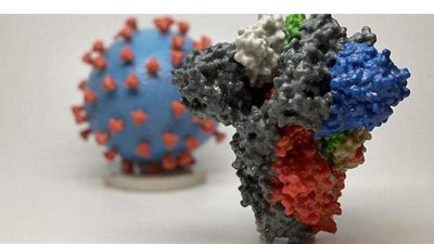 أول دولة عربية تشتبه بـ4 حالات إصابة بالسلالة الجديدة من «كورونا»