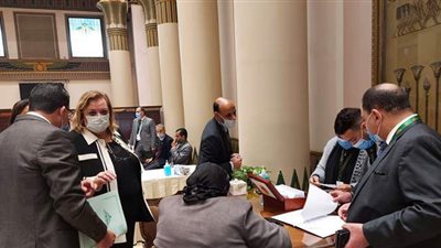 نائب: انتخابات المجالس الشعبية المحلية في الربع الأخير من 2021