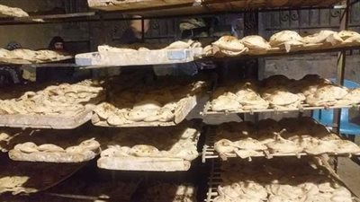 ضبط 25 مخالفة تموينية خلال حملات رقابية بالمنيا