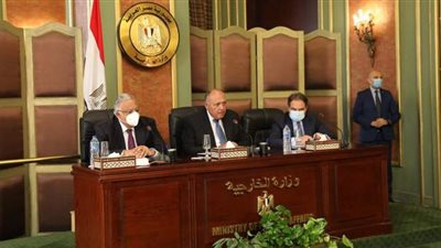 وزير الخارجية يؤكد التزام مصر بالعمل على حماية وتعزيز حقوق الإنسان
