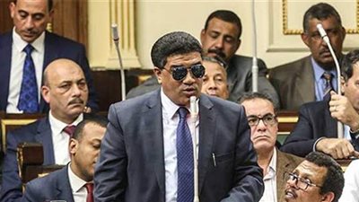 برلمانى: نؤيد قرار قصر الدعم على طفلين للحد من الزيادة السكانية