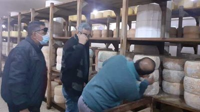 ضبط منتجات ألبان منتهية الصلاحية فى الإسكندرية